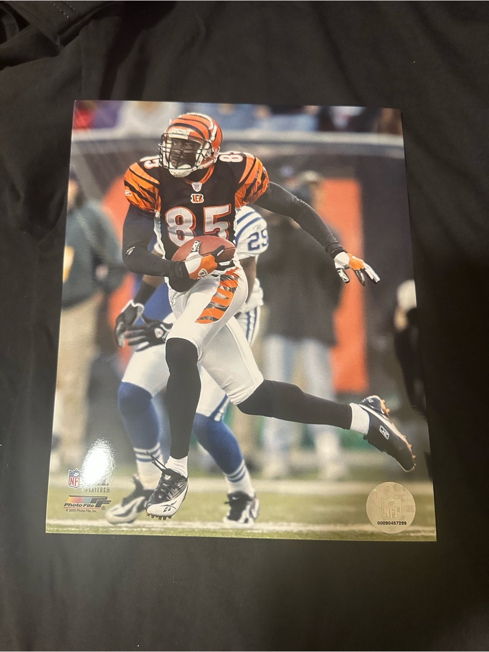 Chad Ochocinco 8x10 photo Cincinnati football Chad Johnson